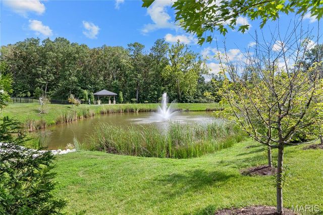 504 Greengage Timber Drive, O'fallon, MO 63368