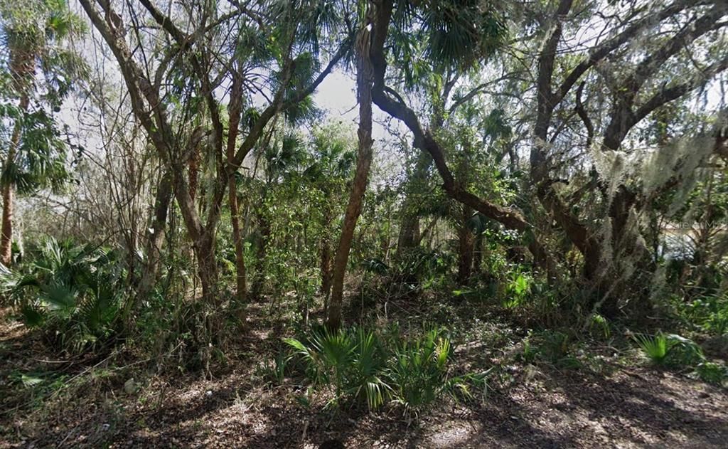 NANCY STREET, Oak Hill, FL 32759