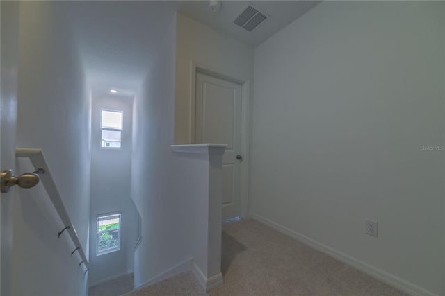 17208 ENGLISH CHESTNUT WAY, Land O Lakes, FL 34638