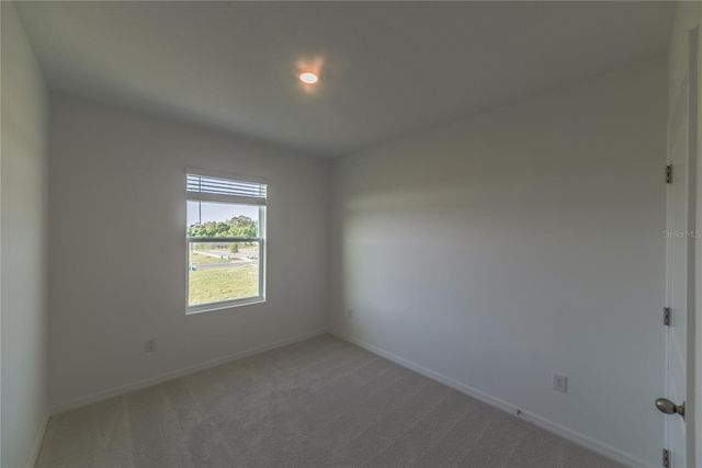 17208 ENGLISH CHESTNUT WAY, Land O Lakes, FL 34638