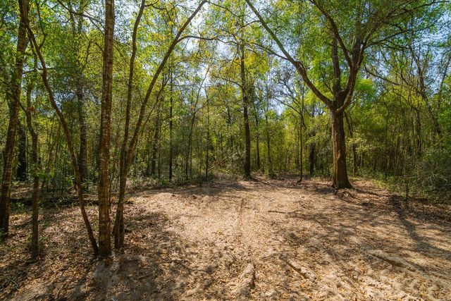 16612 AUBURNDALE LANE, Spring Hill, FL 34610