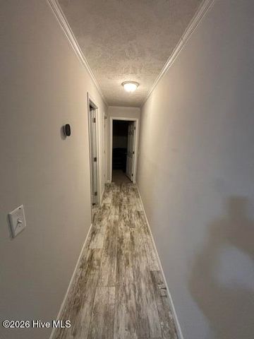 200 Mount Moriah Church Road, Hamlet, NC 28345