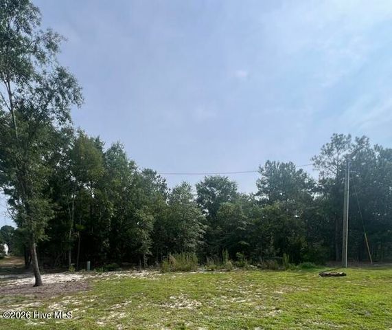 200 Mount Moriah Church Road, Hamlet, NC 28345
