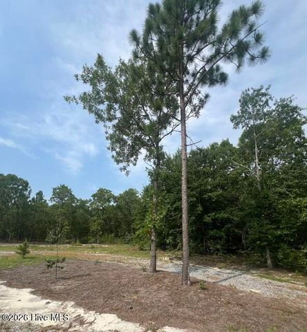 200 Mount Moriah Church Road, Hamlet, NC 28345