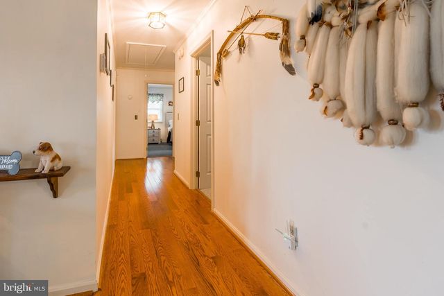 733 HUSTON ST, Seaford, DE 19973