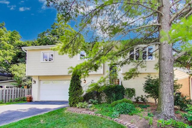 111 S Brighton Place, Arlington Heights, IL 60004