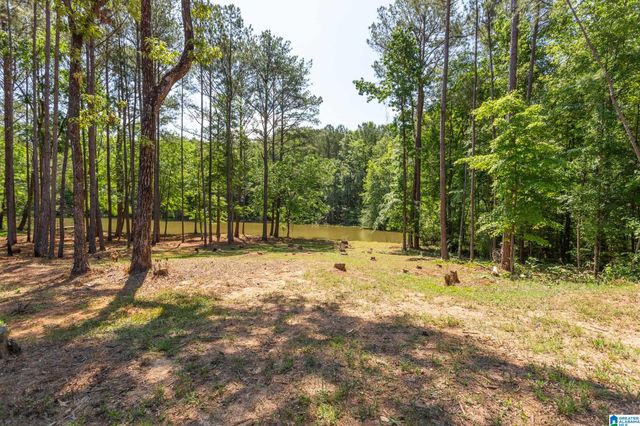 220 WOOD RIVER LANE, Talladega, AL 35160