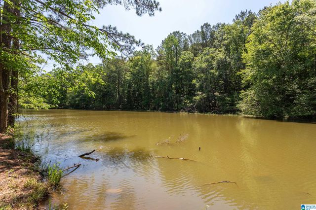 220 WOOD RIVER LANE, Talladega, AL 35160