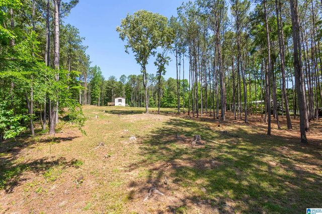 220 WOOD RIVER LANE, Talladega, AL 35160