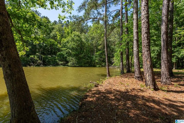 220 WOOD RIVER LANE, Talladega, AL 35160