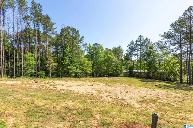 220 WOOD RIVER LANE, Talladega, AL 35160