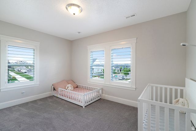 10952 S PORCINI DR, South Jordan, UT 84009