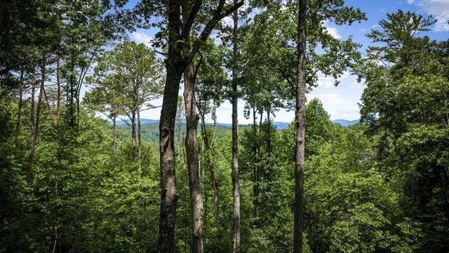 290 Graham Court, Ellijay, GA 30540