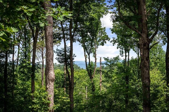 290 Graham Court, Ellijay, GA 30540