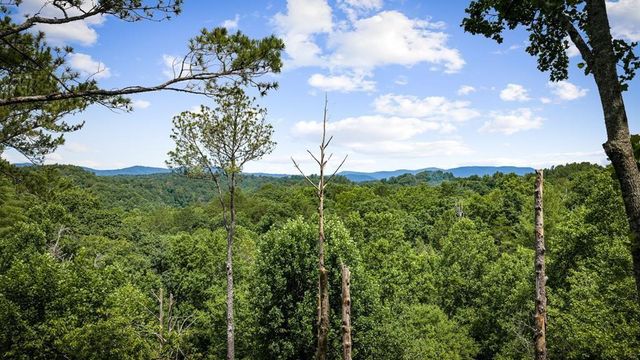 290 Graham Court, Ellijay, GA 30540
