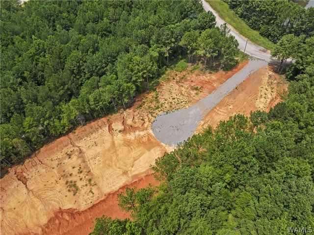 15239 Ridgeland, Brookwood, AL 35444