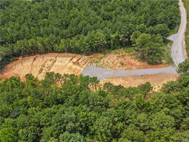 15239 Ridgeland, Brookwood, AL 35444