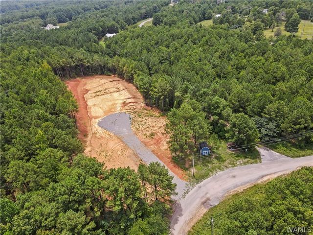 15239 Ridgeland, Brookwood, AL 35444