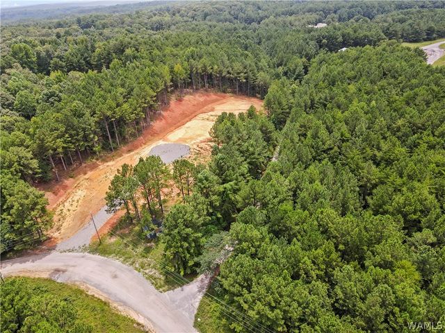 15239 Ridgeland, Brookwood, AL 35444