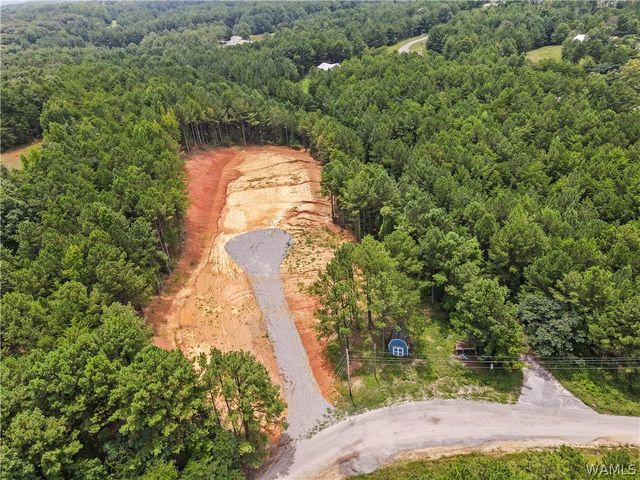 15239 Ridgeland, Brookwood, AL 35444