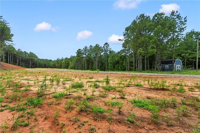 15239 Ridgeland, Brookwood, AL 35444
