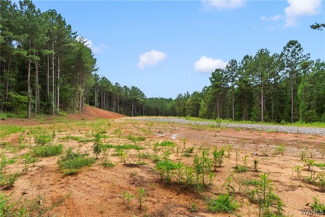 15239 Ridgeland, Brookwood, AL 35444