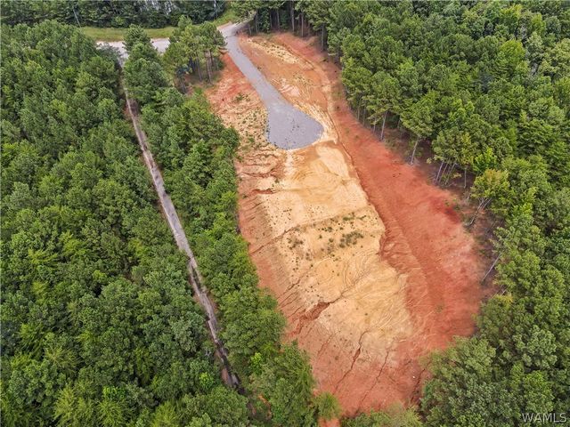15239 Ridgeland, Brookwood, AL 35444