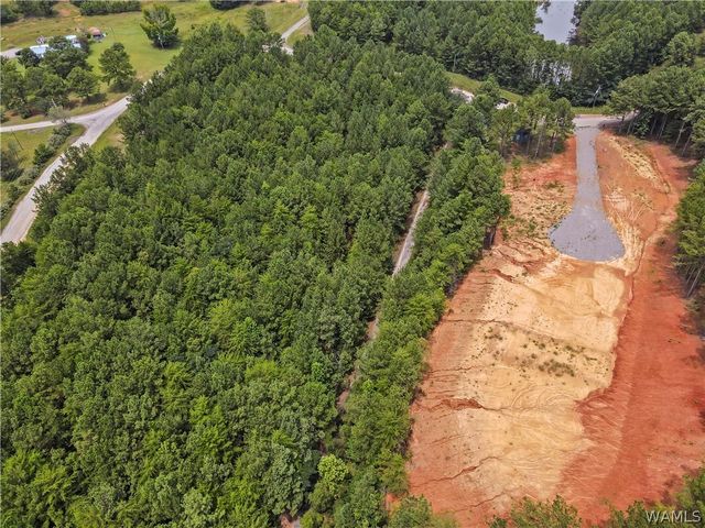 15239 Ridgeland, Brookwood, AL 35444