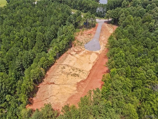 15239 Ridgeland, Brookwood, AL 35444