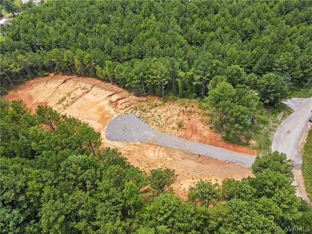 15239 Ridgeland, Brookwood, AL 35444
