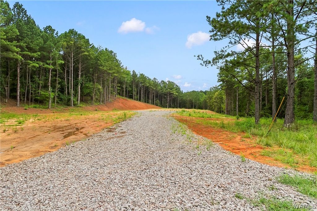 15239 Ridgeland, Brookwood, AL 35444