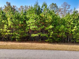 Lot 42 Water Oak Lane, Blairsville, GA 30512