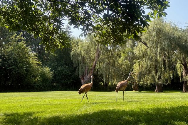 568 Plymouth Drive, Inverness, IL 60067