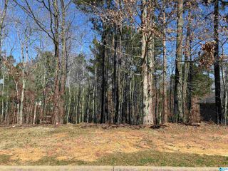 200 OAKLYN HILLS DRIVE, Chelsea, AL 35043