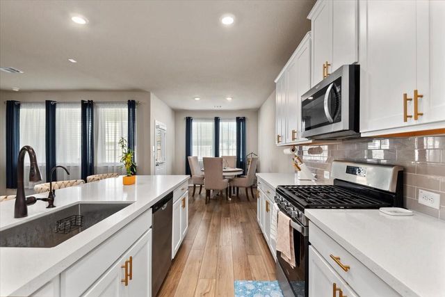 17111 Daylily Dune Way, Hockley, TX 77447