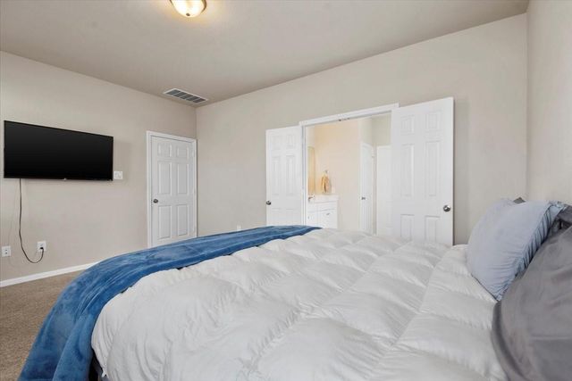 17111 Daylily Dune Way, Hockley, TX 77447