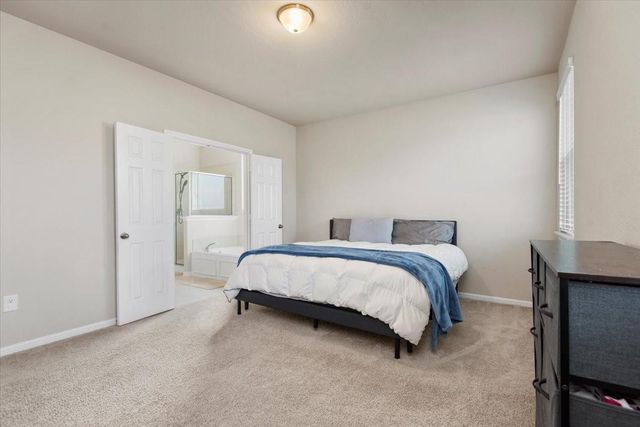 17111 Daylily Dune Way, Hockley, TX 77447