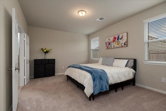 17111 Daylily Dune Way, Hockley, TX 77447