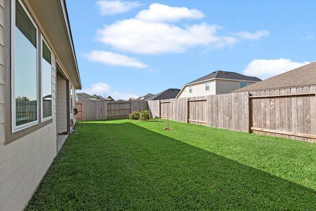 17111 Daylily Dune Way, Hockley, TX 77447