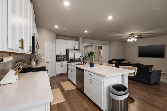 17111 Daylily Dune Way, Hockley, TX 77447