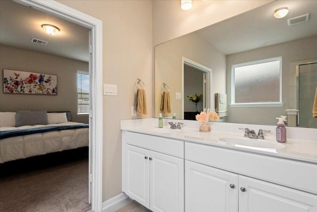 17111 Daylily Dune Way, Hockley, TX 77447