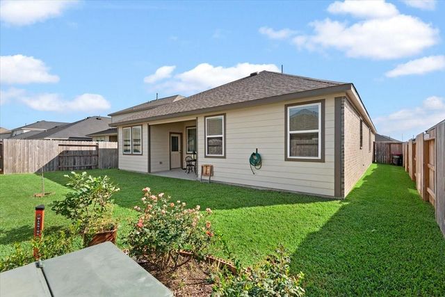 17111 Daylily Dune Way, Hockley, TX 77447