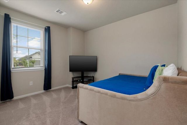 17111 Daylily Dune Way, Hockley, TX 77447