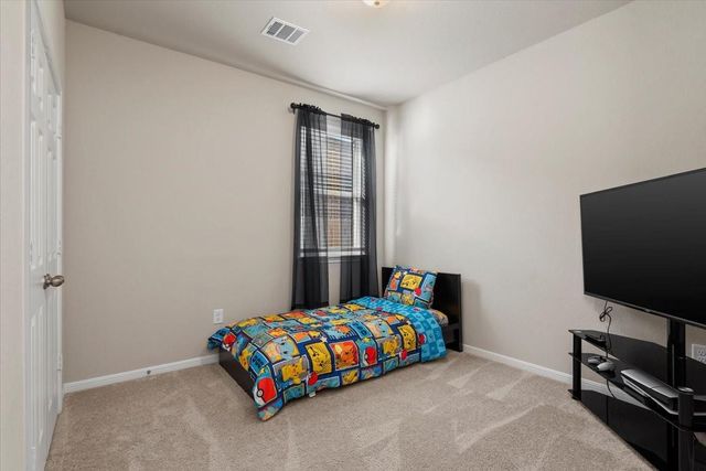 17111 Daylily Dune Way, Hockley, TX 77447