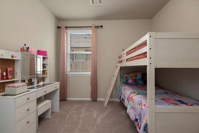 17111 Daylily Dune Way, Hockley, TX 77447