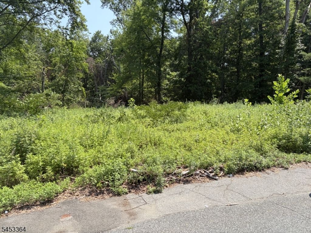 125 Ferri St, Wayne Twp., NJ 07470 — exterior