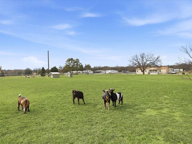 107 Private Road 3421, Bridgeport, TX 76426