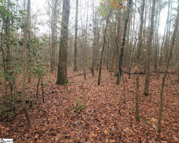 Scott Lane, Pelzer, SC 29669