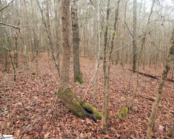 Scott Lane, Pelzer, SC 29669