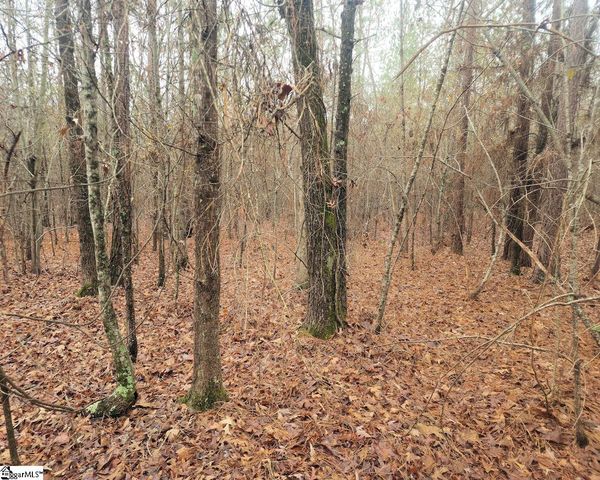 Scott Lane, Pelzer, SC 29669